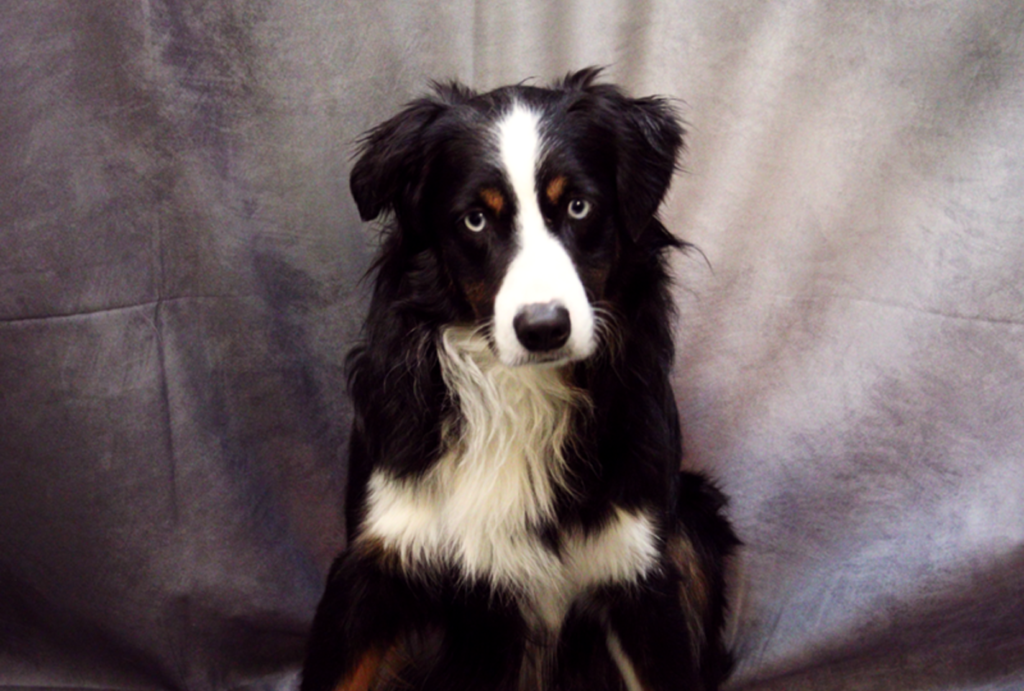 LingDynasty Photography - LEgo