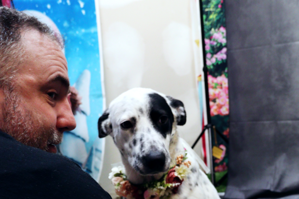 LingDynasty Photography - Roscoe